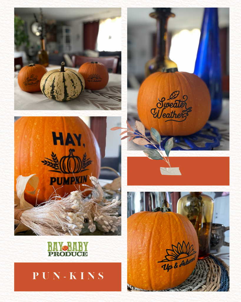 Our Pun-Kins can enhance your home decor for the fall sesaon!