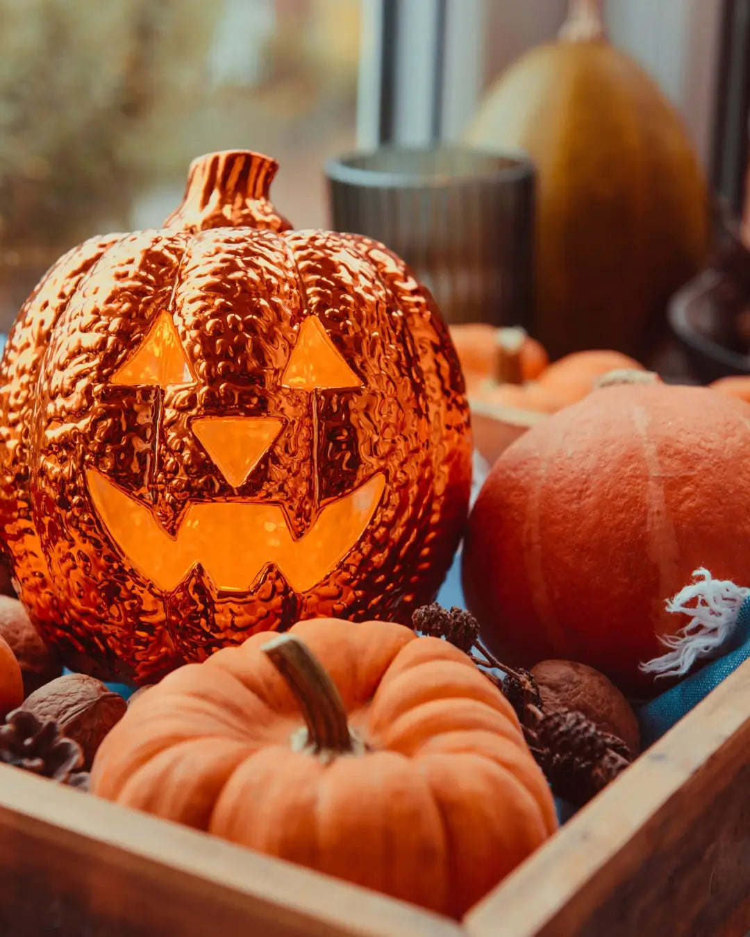 ornamental pumpkins