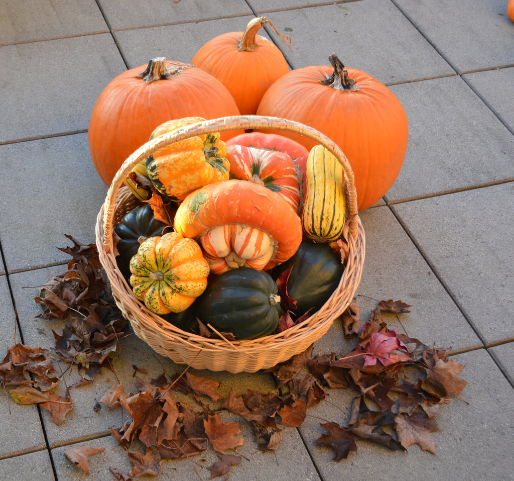 A Basket of Joy