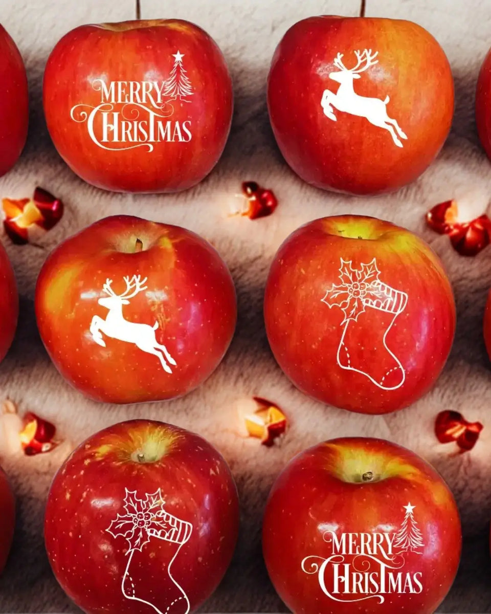 A Christmas Apple Sampler That Feels Like a Gift and a Work of Art ...