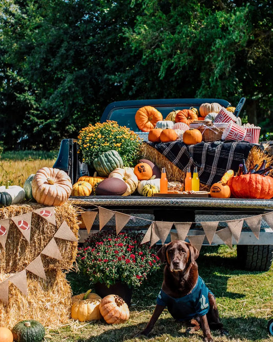 Autumn Decor Trends That Are Taking Over Front Porches This Year
