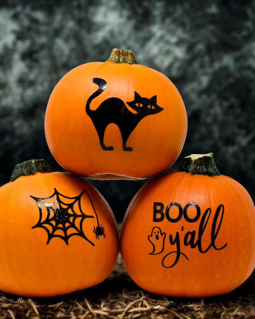 Chic and Spooky: The Cat Painted Pumpkin You’ll Want on Your Porch This Season