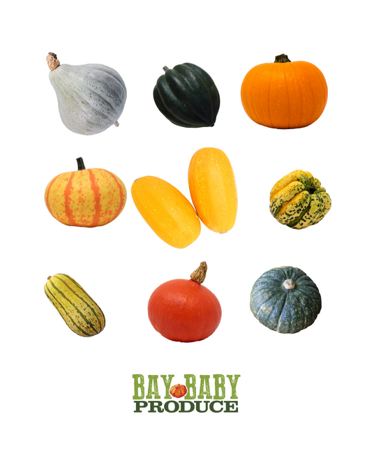FAQ Winter Squash and Pumpkins