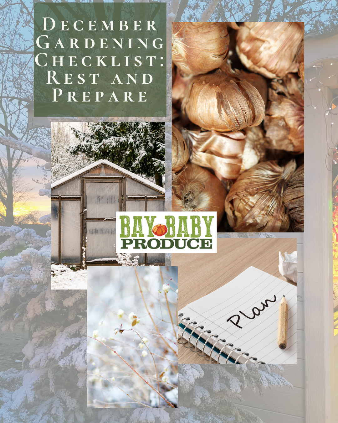 December Gardening Checklist