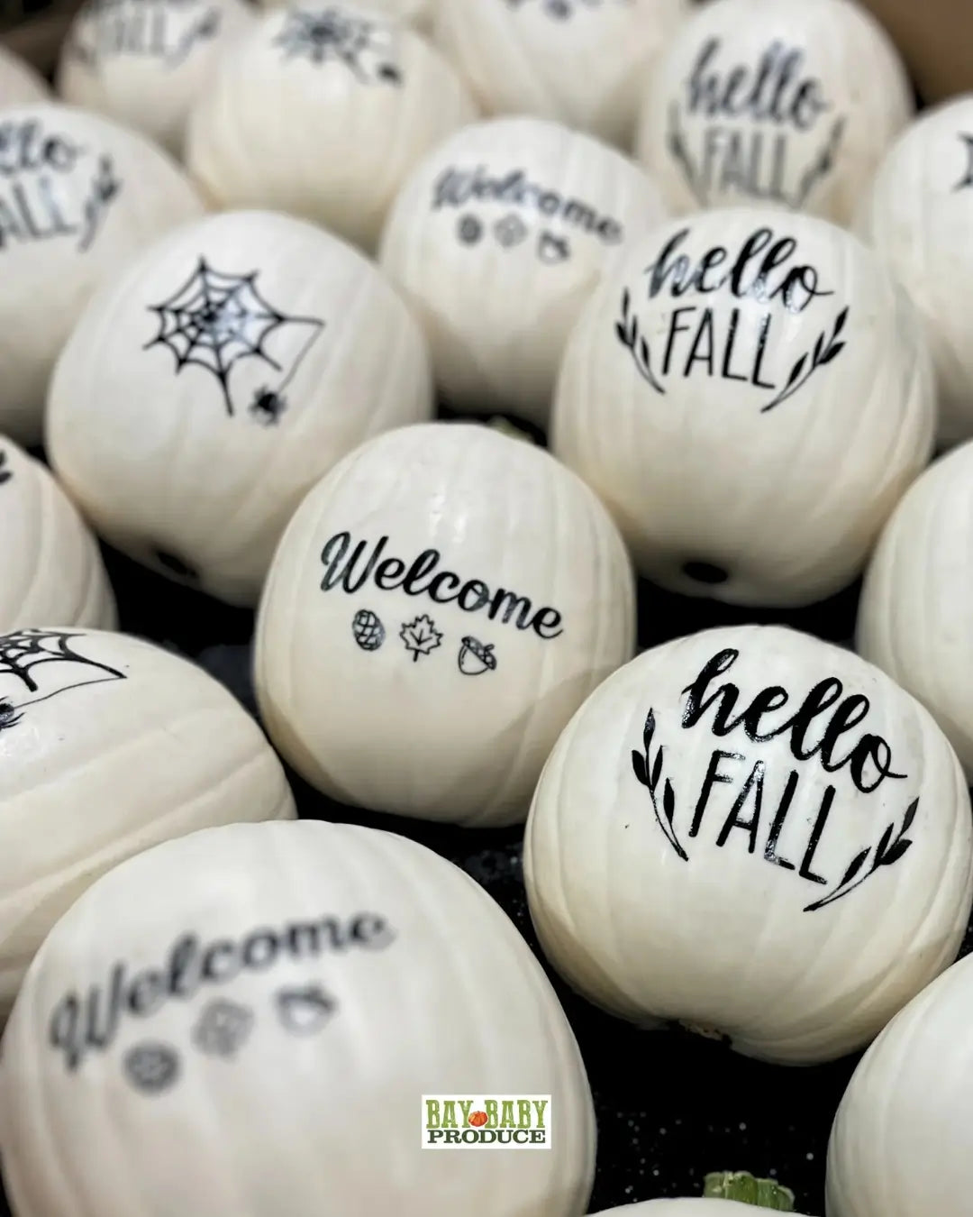 Discover Unique Ways to Decorate with Specialty Pumpkins This Season