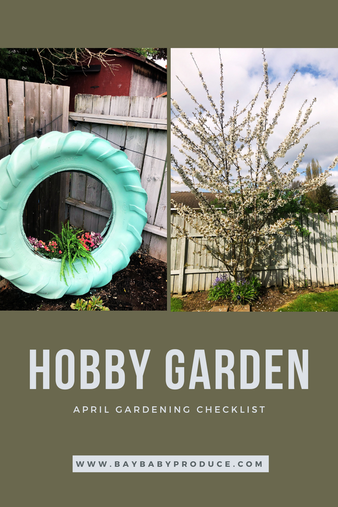 April Hobby Gardening Checklist