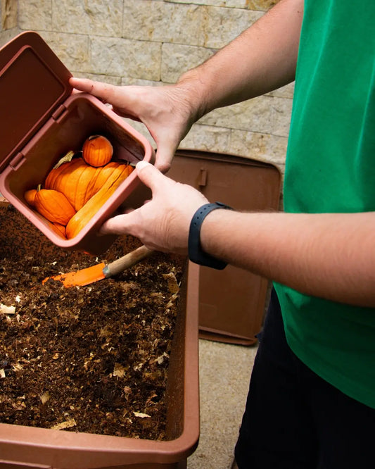 How to Compost Old Pumpkins to Boost Your Garden’s Health