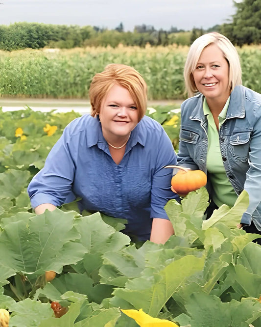 How to Identify Pumpkin Leaves and What They Tell You About Plant Health