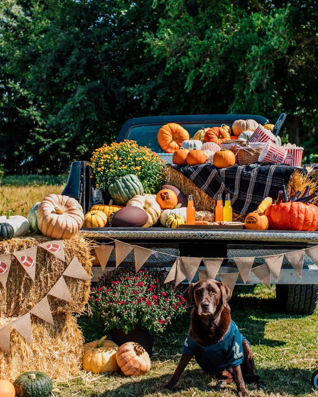 How to Keep Your Decorative Pumpkins Looking Fresh All Season Long
