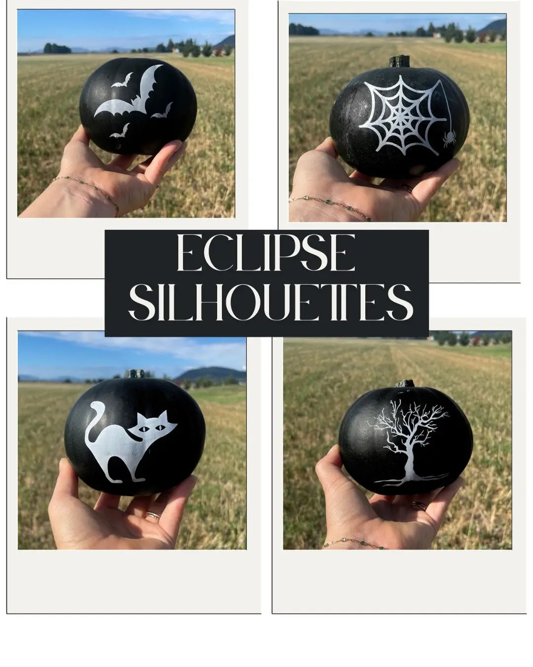 How to Use Black Pumpkins for a Bold and Moody Fall Aesthetic