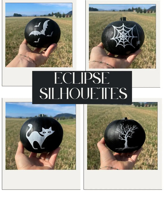 How to Use Black Pumpkins for a Bold and Moody Fall Aesthetic