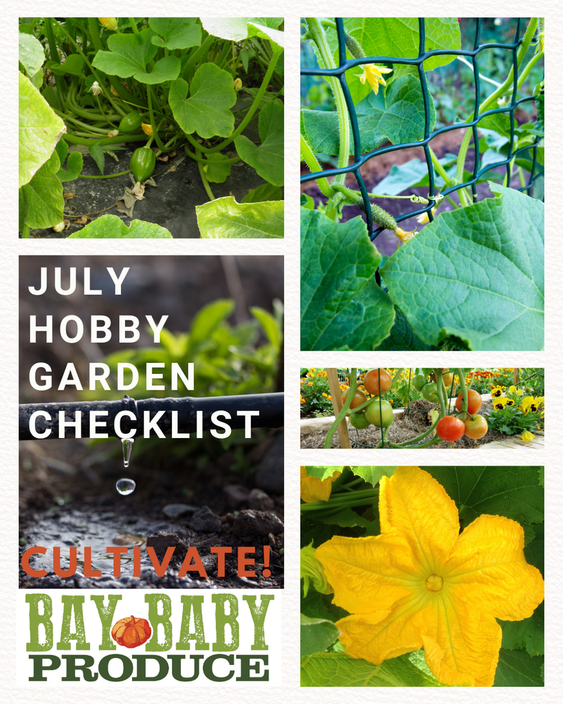 July Hobby Garden Checklist: Cultivate!
