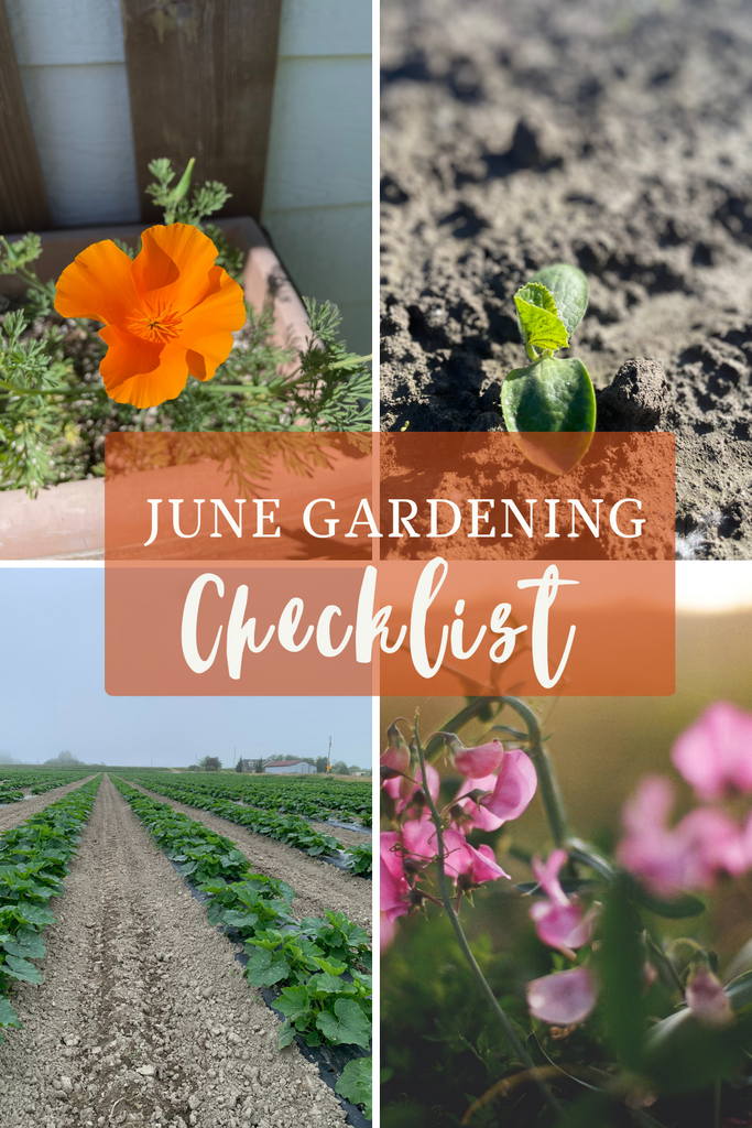 June Hobby Gardening Check List