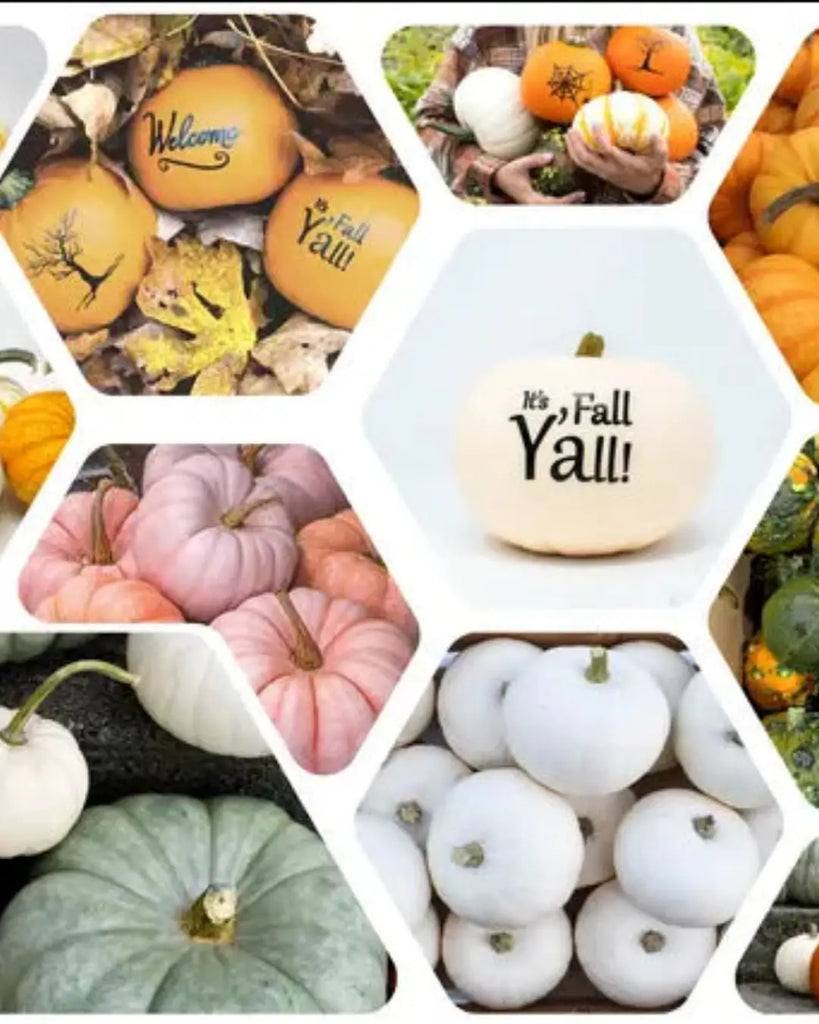 Pumpkin Varieties to Know for Cooking, Carving, and Fall Decorating