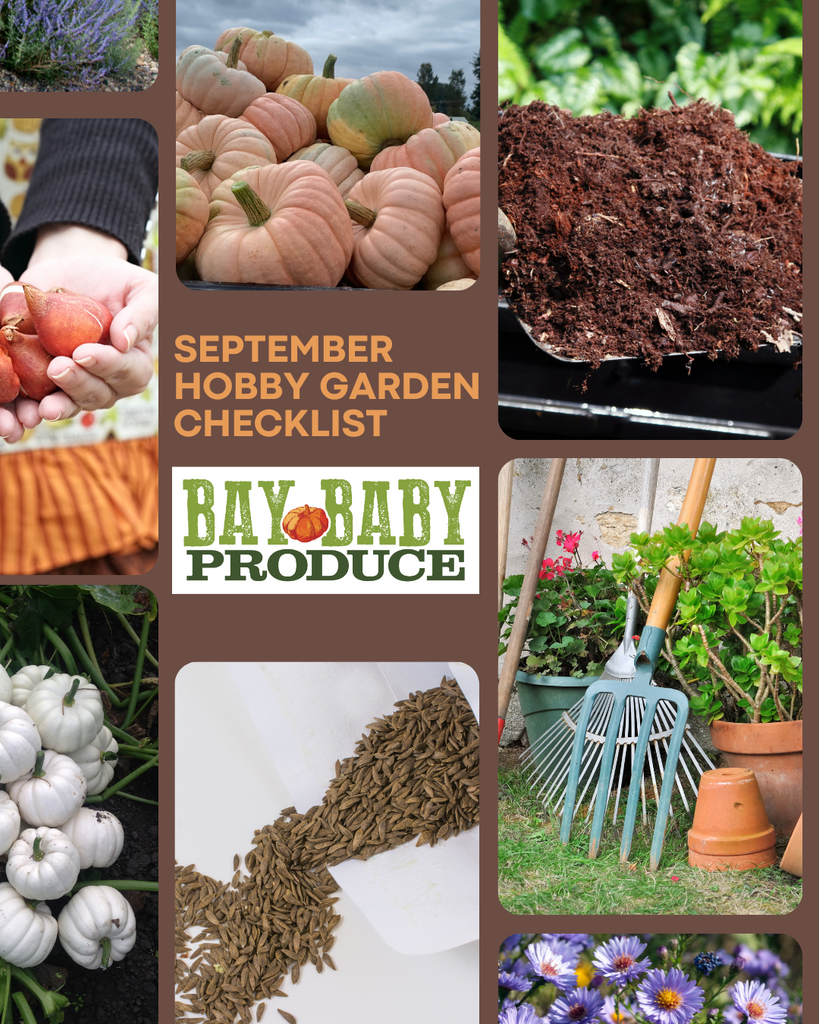 September Hobby Garden Checklist: Get Ready for Fall