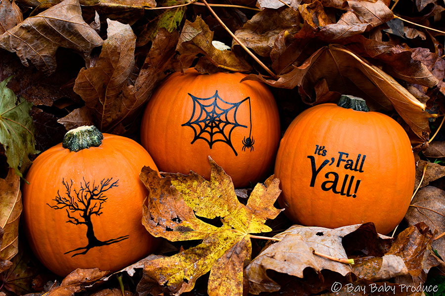 Festive Fall Trio