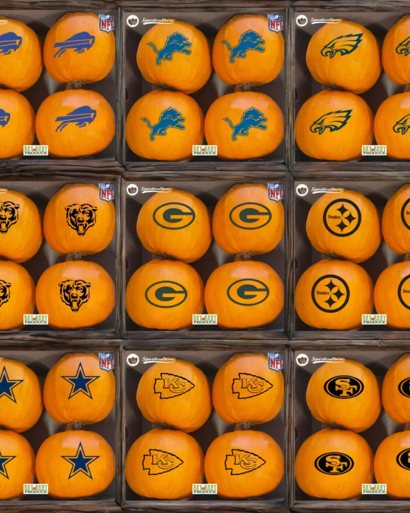 The Best Football Porch Decor for NFL Fans This Fall