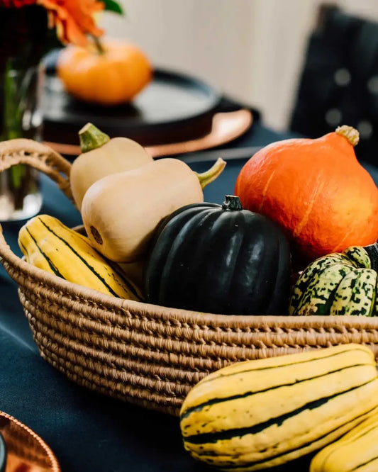 The Best Squash Varieties for Beginners to Grow at Home