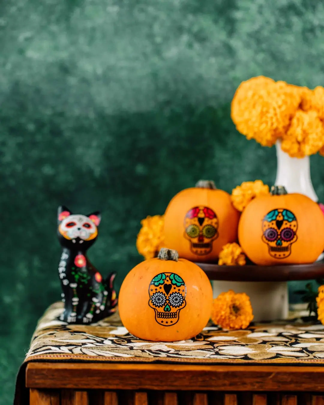 The Difference Between Decorative, Culinary, and Specialty Pumpkins