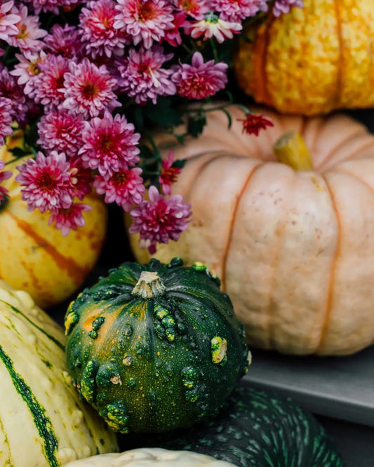 The Role of Color, Shape, and Texture in Specialty Pumpkins