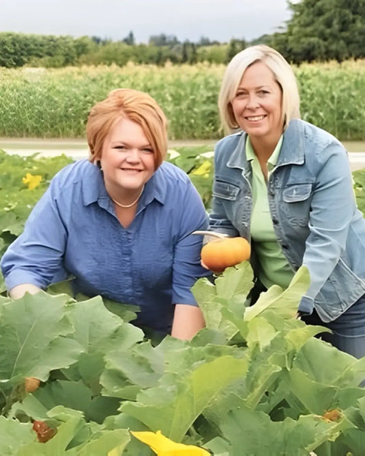 The Story of a Pumpkin: From Winter Planning to Fall Harvest