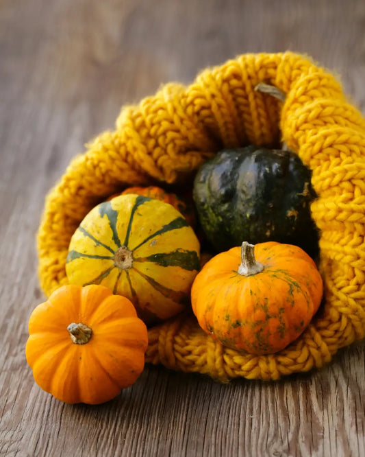 Velvet Pumpkins vs Knitted Pumpkins vs Crocheted Pumpkins: Which Cozy Style Is Right for You
