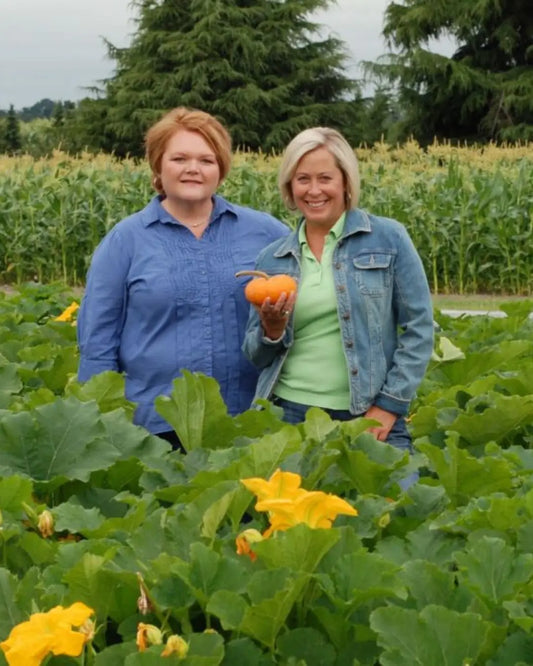 What Do Pumpkin Plants Look Like at Every Stage of Growth