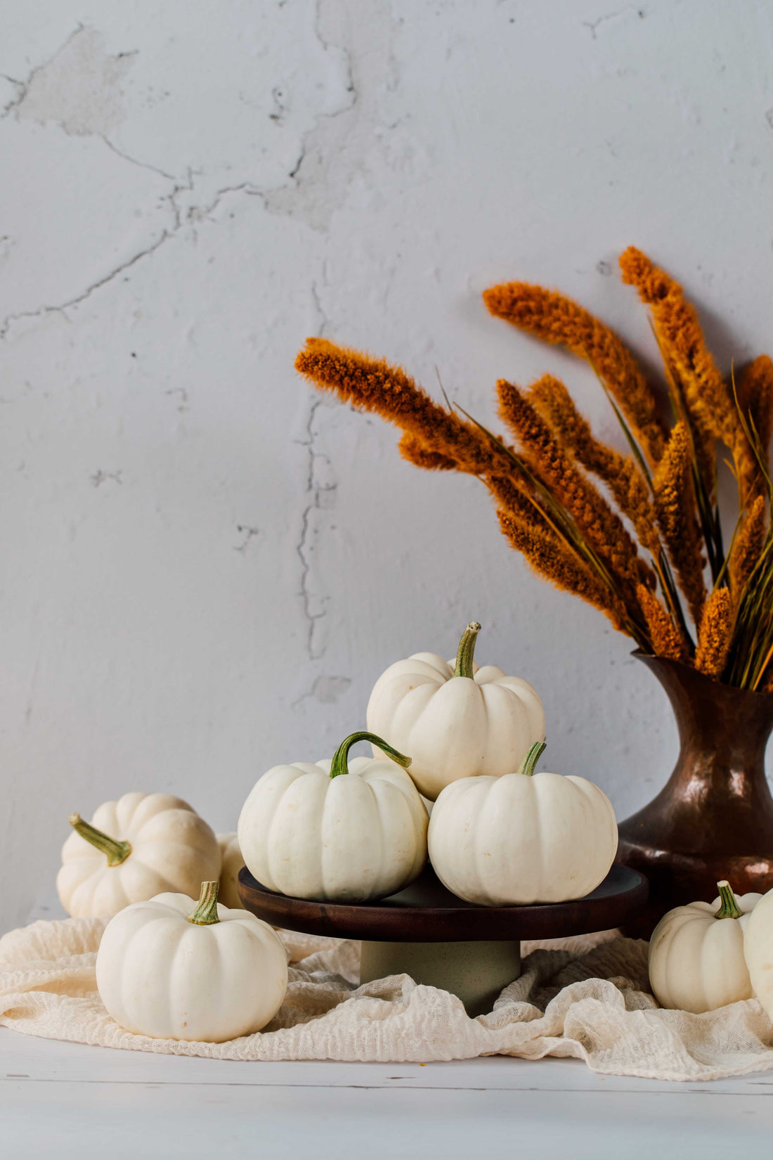 White mini pumpkins grown by Bay Baby Produce for fall decorating