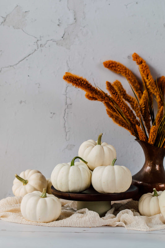 White mini pumpkins grown by Bay Baby Produce for fall decorating