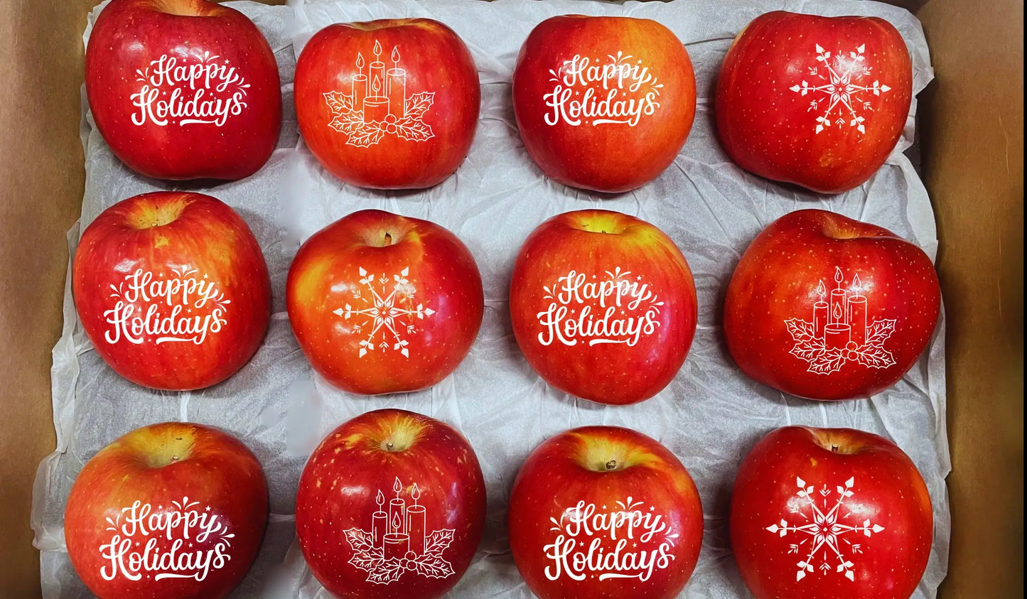 12CT Happy Holidays Fruit Deco Apples