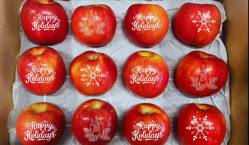 12CT Happy Holidays Fruit Deco Apples