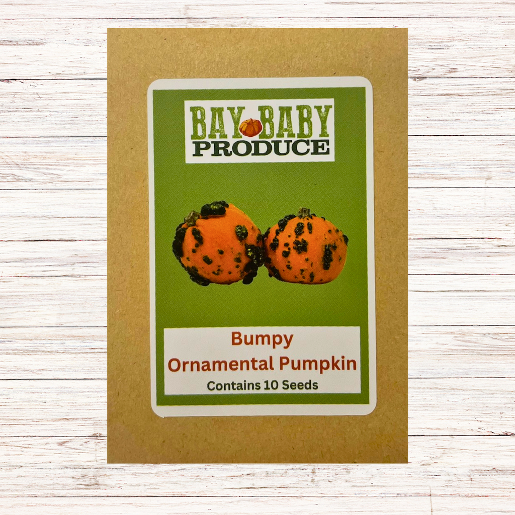 Ornamental Pumpkin Seeds - Most Unique: Bumpy, Squidmo, and Snowbaby