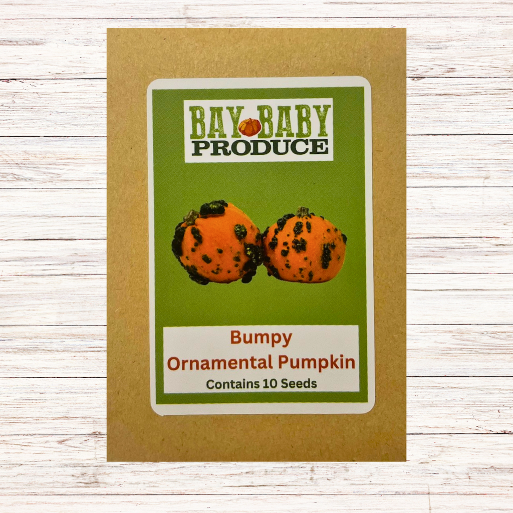 Ornamental Pumpkin Most Unique Seeds: Bumpy, Squidmo and Snowbaby