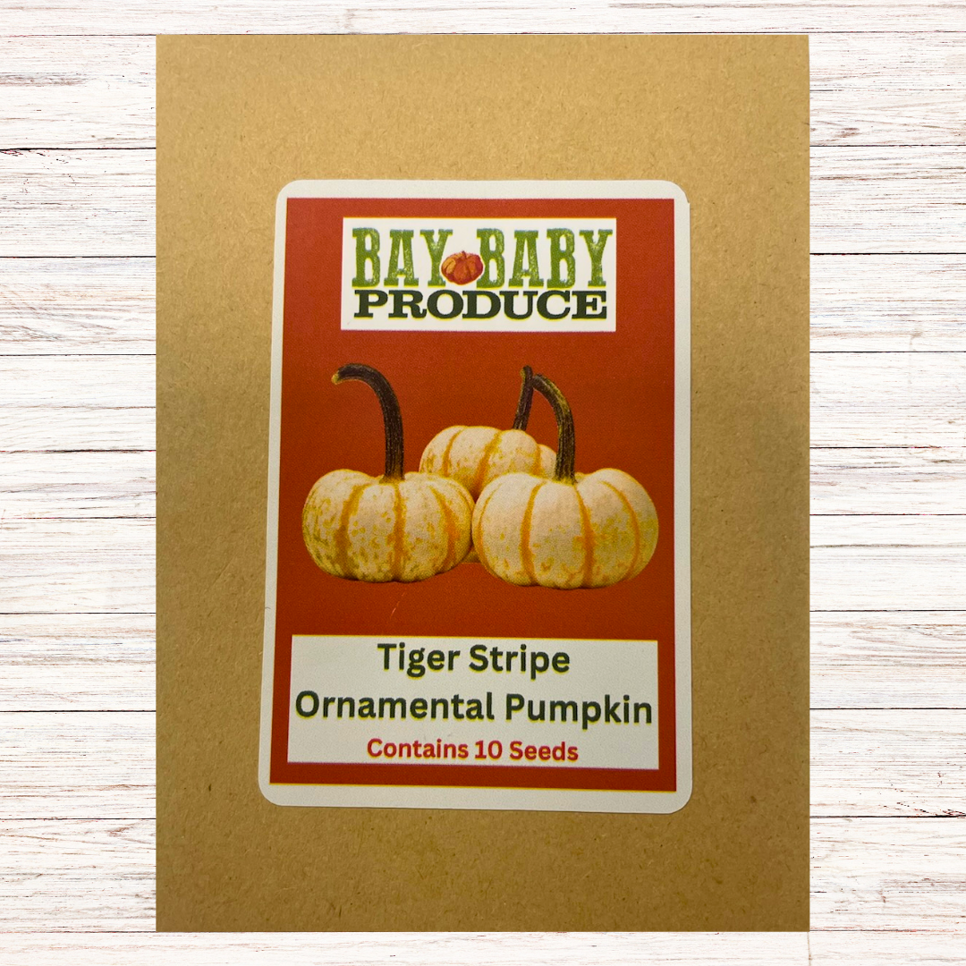 Ornamental Pumpkin Seeds - Best Sellers: Tiger Stripe, Casper, and Tango