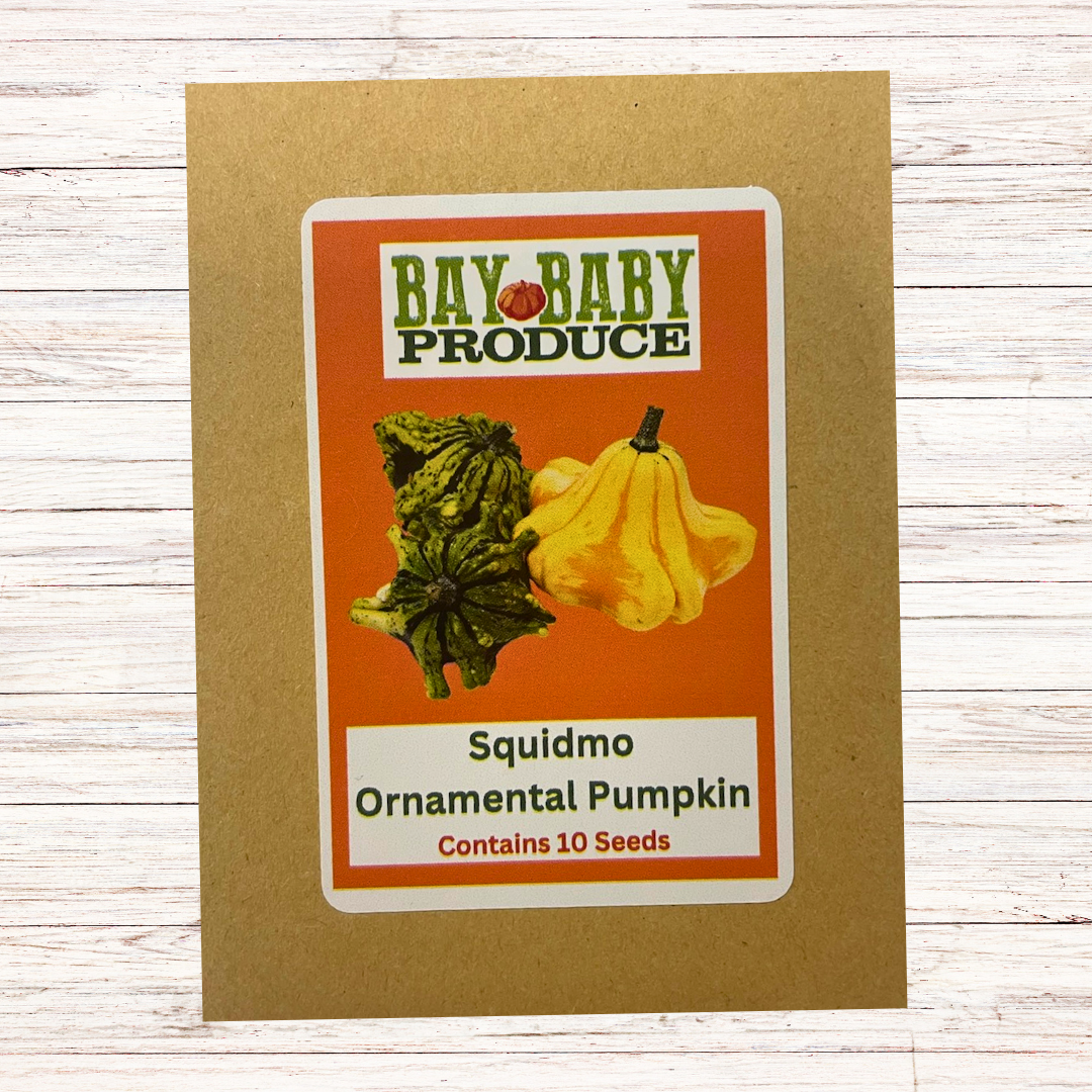 Ornamental Pumpkin Seeds - Most Unique: Bumpy, Squidmo, and Snowbaby