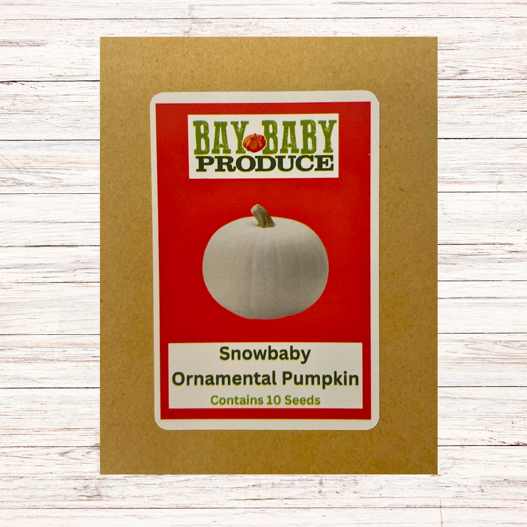 Ornamental Pumpkin Seeds - Most Unique: Bumpy, Squidmo, and Snowbaby