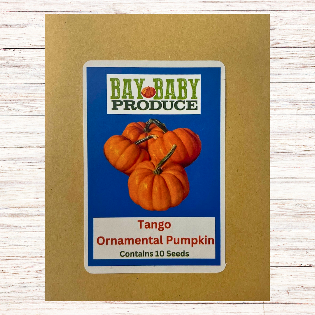 Ornamental Pumpkin Seeds - Best Sellers: Tiger Stripe, Casper, and Tango