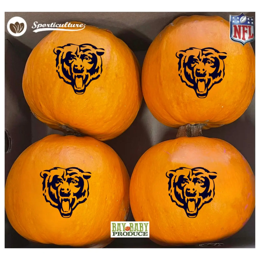 4 CT Wee Bee Chicago Bears