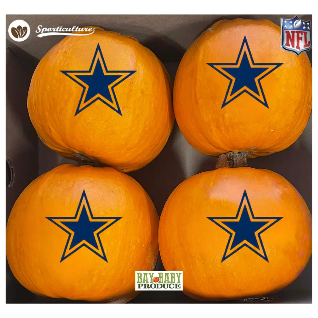 4CT Wee Bee Dallas Cowboys