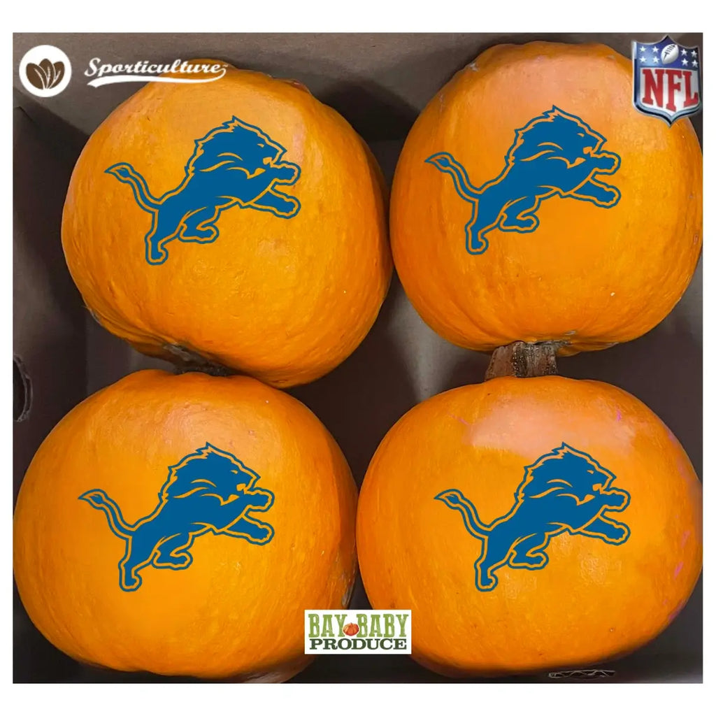 4CT Wee Bee Detroit Lions