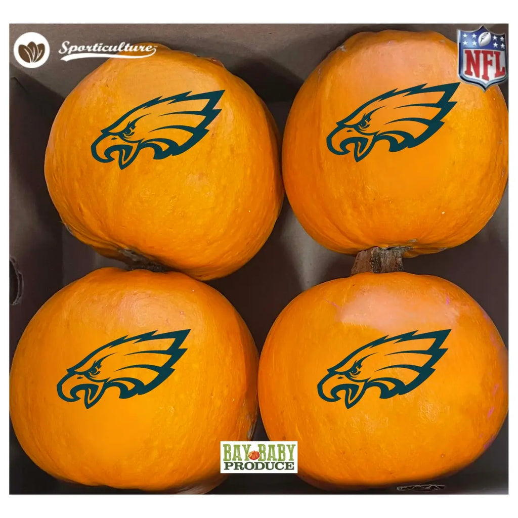 4CT Wee Bee Philadelphia Eagles