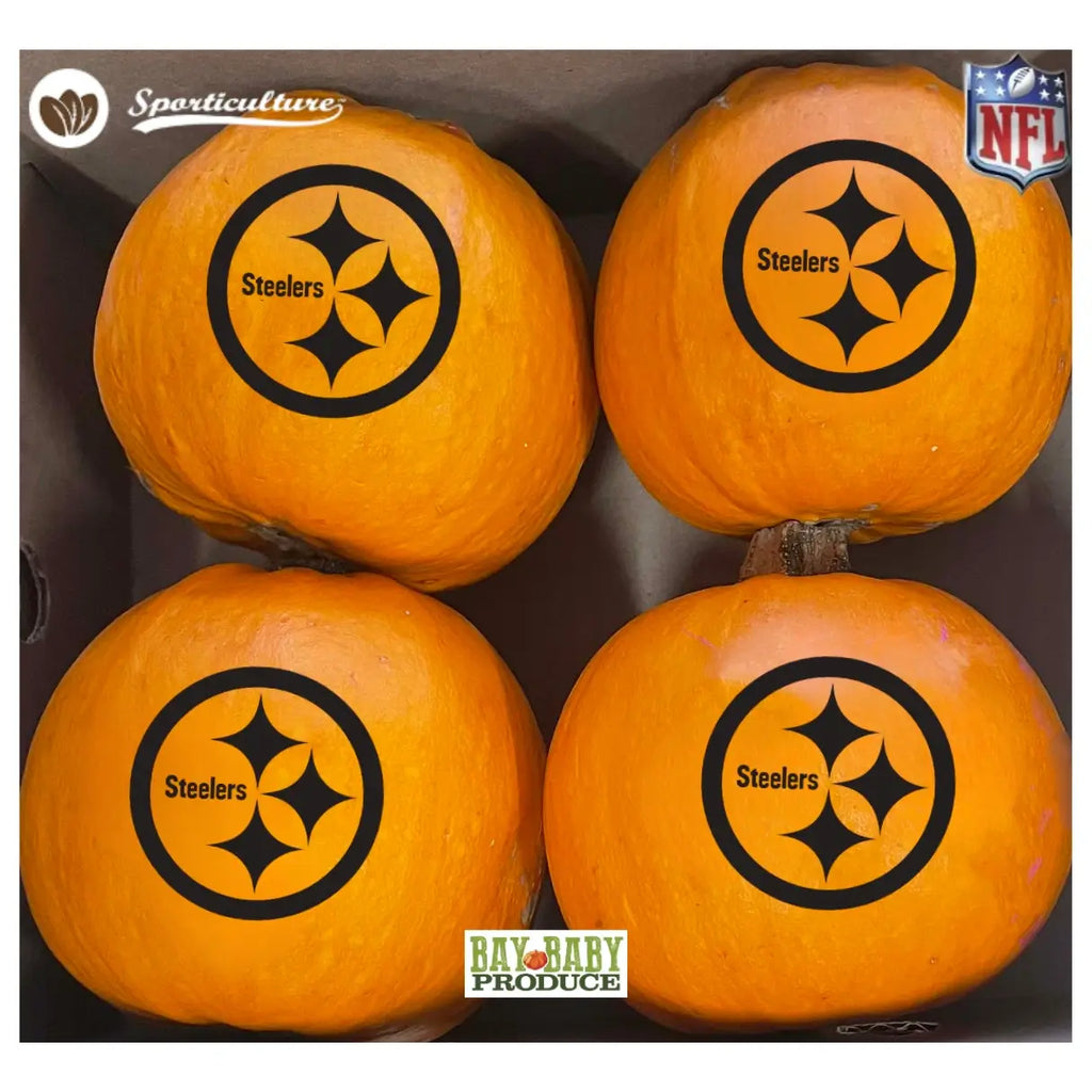 4CT Wee Bee Pittsburg Steelers