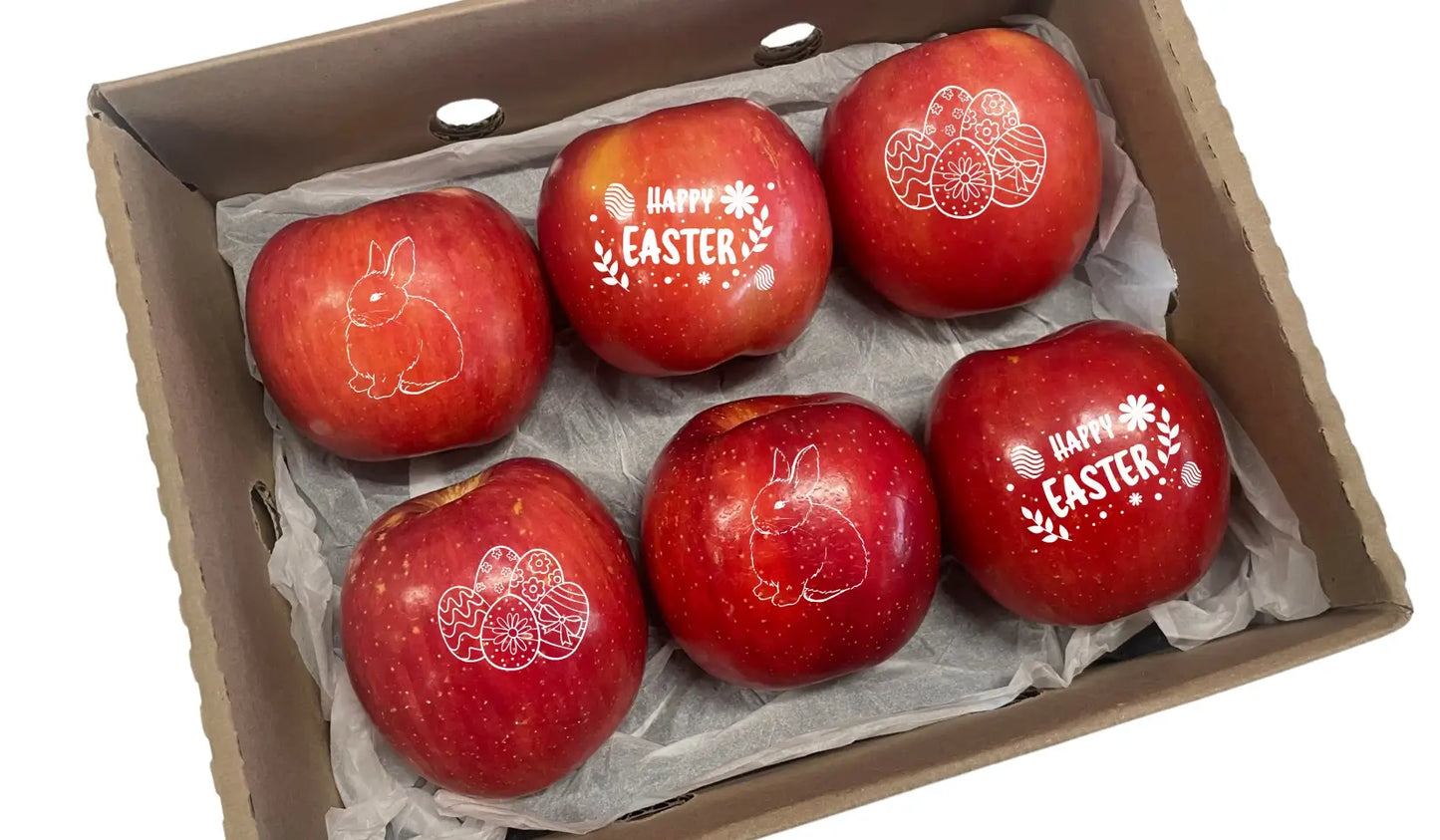 6CT Easter Fruit Deco Apples