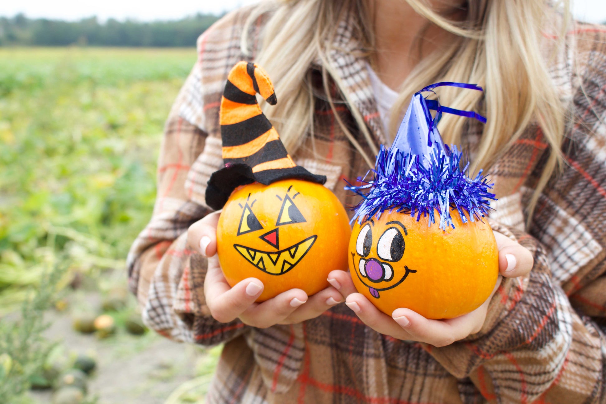 Person holding two decorated pumpkins with witch hat and blue cape in a pumpkin patch.