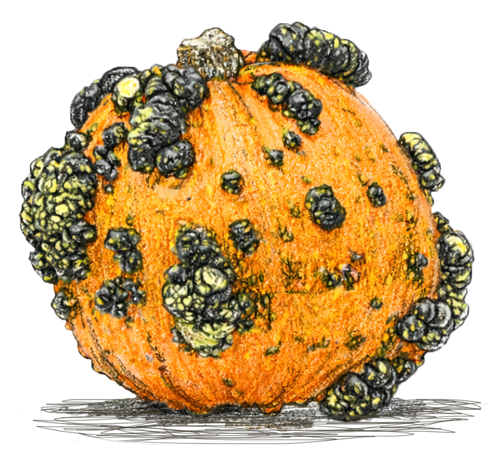 Illustration of a pumpkin with black and green mold spots on a white background