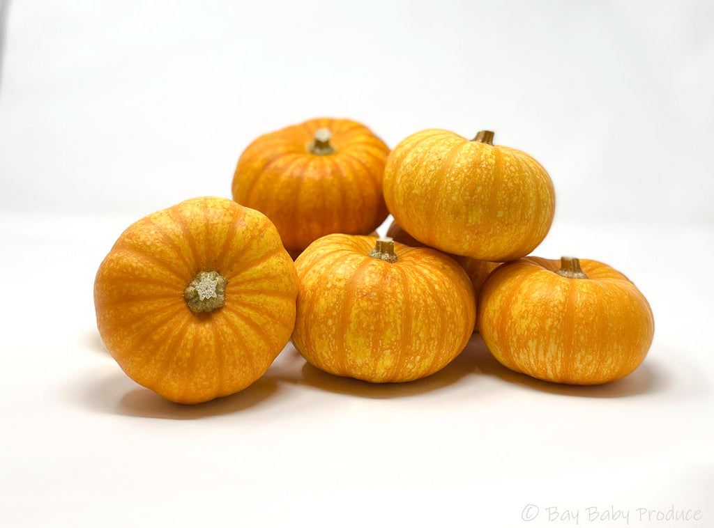 18 CT Orange Mini Pumpkins