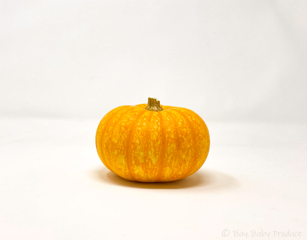 18 CT Orange Mini Pumpkins
