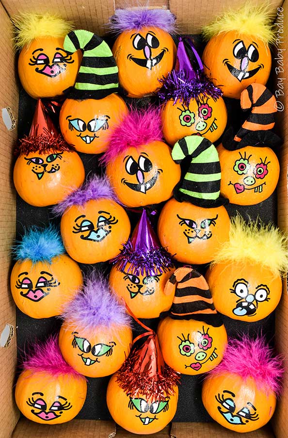6 CT Original Pumpkin Patch Pals