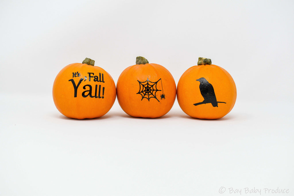 12 CT Painted Silhouette Pumpkins