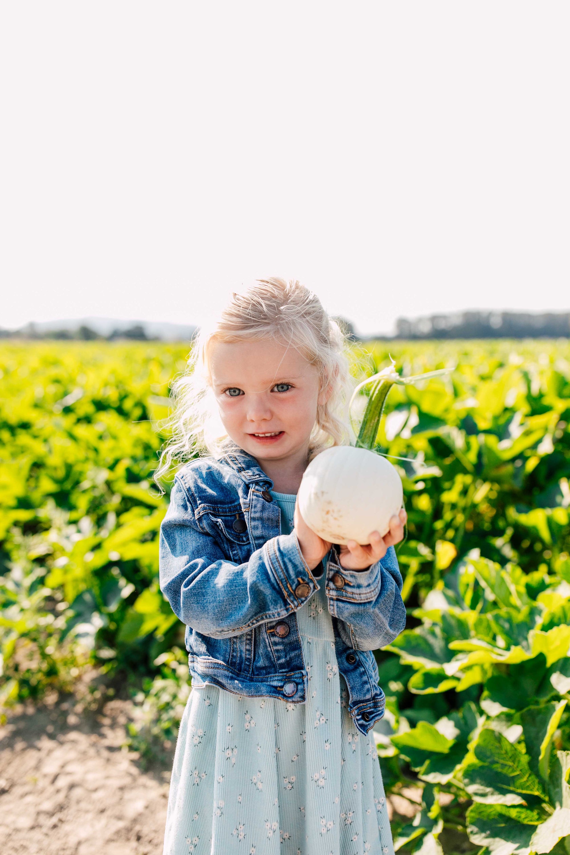 Young girl holding a zucchini in a field of squash plants